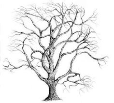 236x213 Pictures Sketches Of Trees Images,