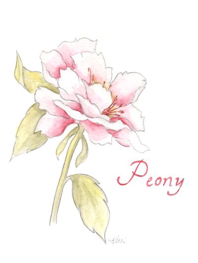 400x533 Chinese Flowers Drawings Easy