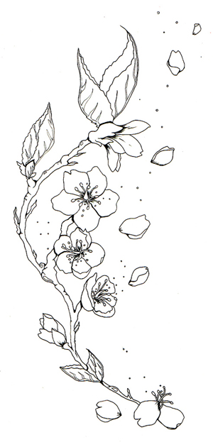 Cherry Blossom Tattoo Drawing