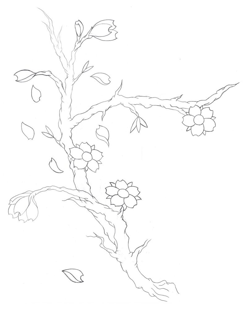 801x998 Cherry Blossom Tattoo By Darkening3