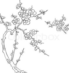 236x250 Cherry Blossom Tree Drawing Beauty, Strength, And Grace Even