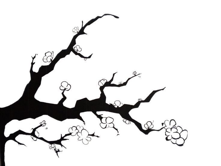 736x552 76 Best Sakura Tattoo Images On Patterns, Tattoo