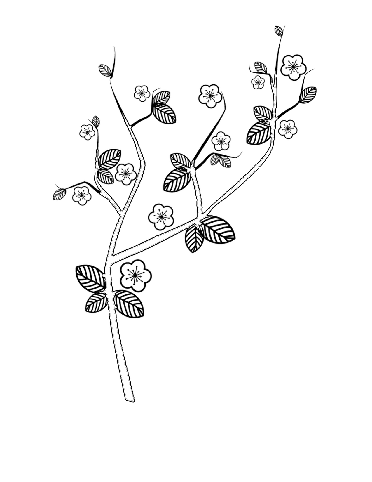 1275x1650 Cherry Blossom Coloring Pages