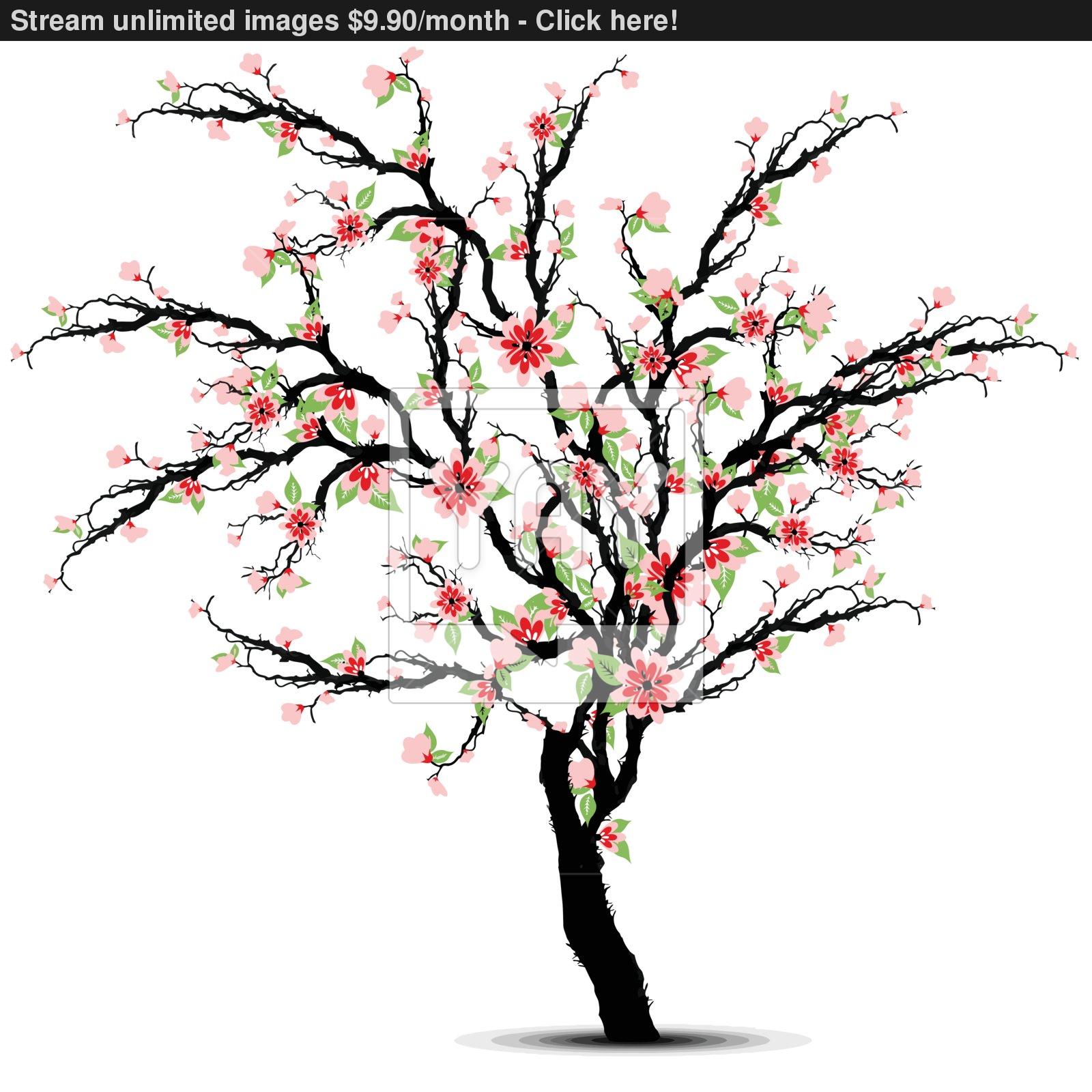 1600x1600 Cherry Blossoms Tree Vector