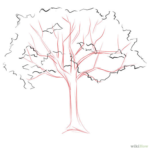 525x525 How To Draw Trees Step By Step