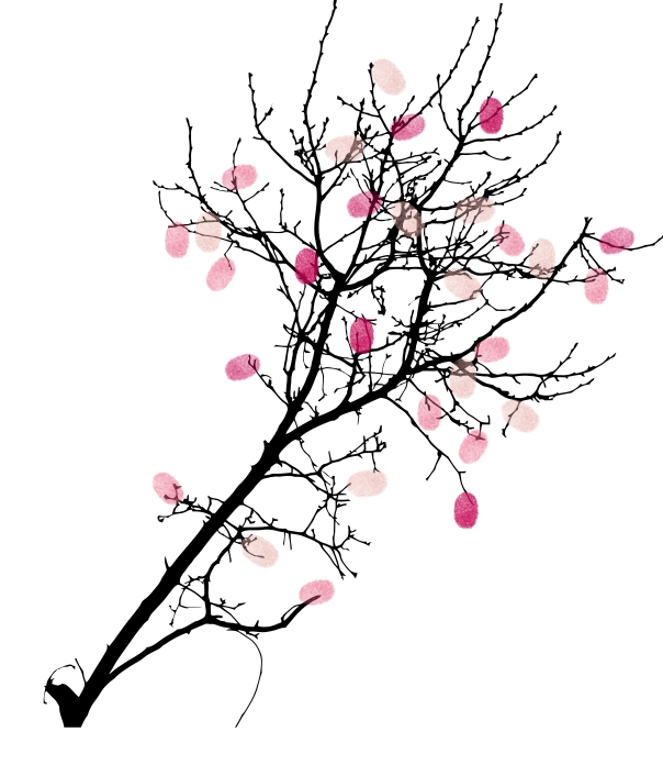 Cherry Blossom Tree Drawing Easy at GetDrawings.com | Free for personal