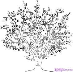 236x232 How To Draw A Cherry Tree, Step By Step, Trees, Pop Culture, Free