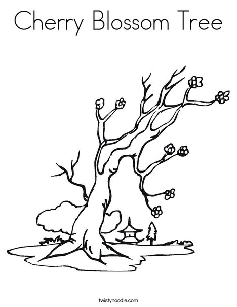 468x605 Cherry Blossom Tree Coloring Page