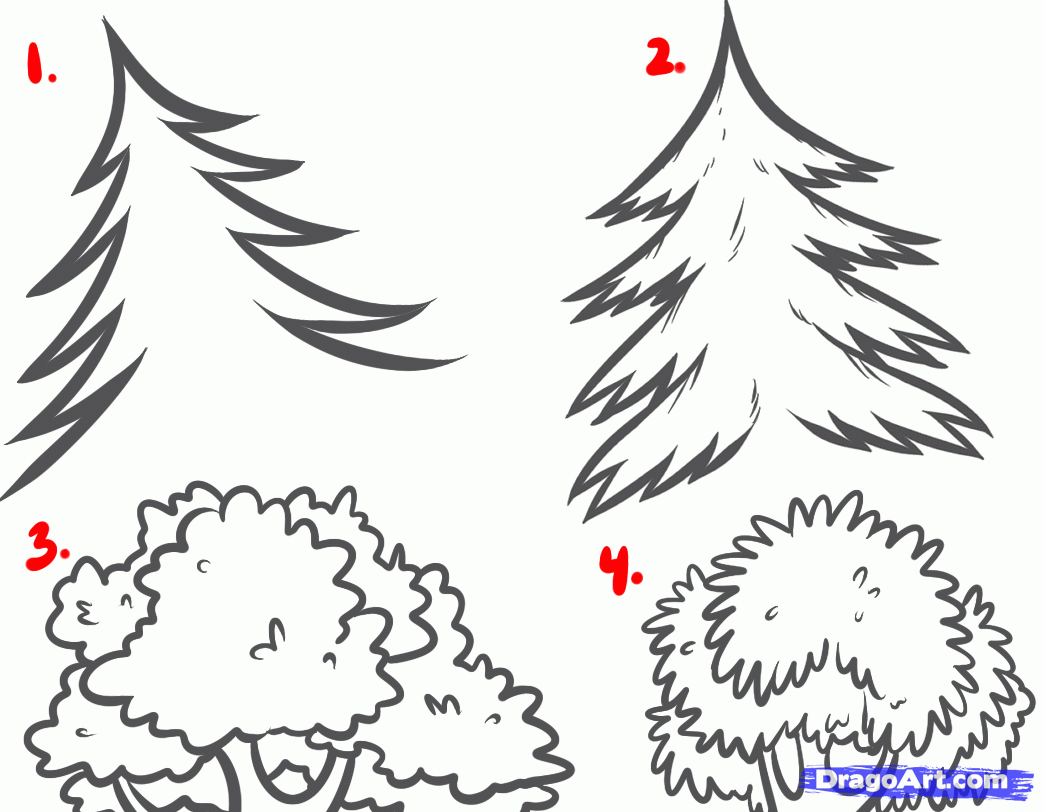 1044x812 How To Draw Forests, Forest Backgrounds, Step By Step, Landscapes