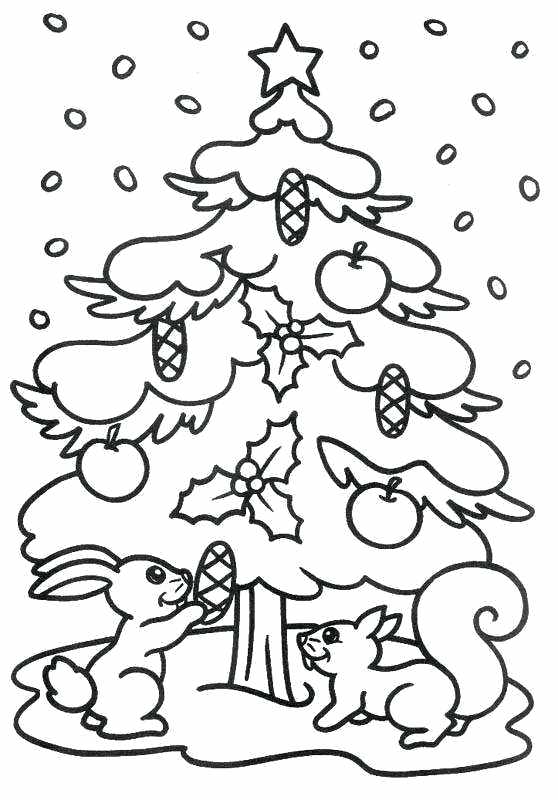 558x800 Winter Tree Coloring Page Cherry Blossom Tree Coloring Pages Page