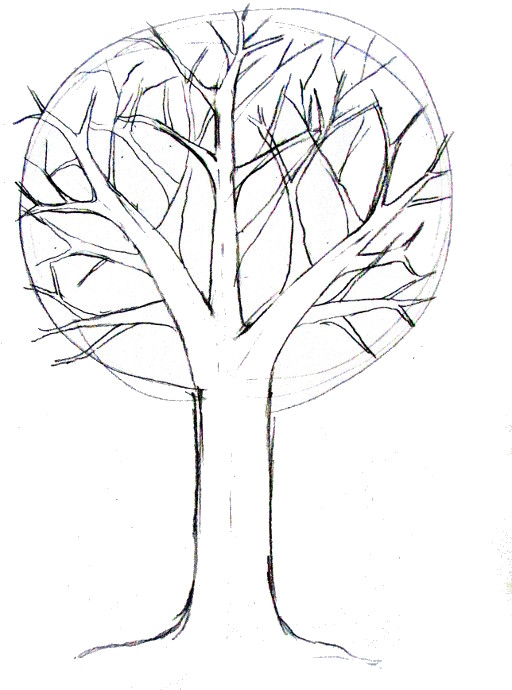 512x690 How To Draw A Tree