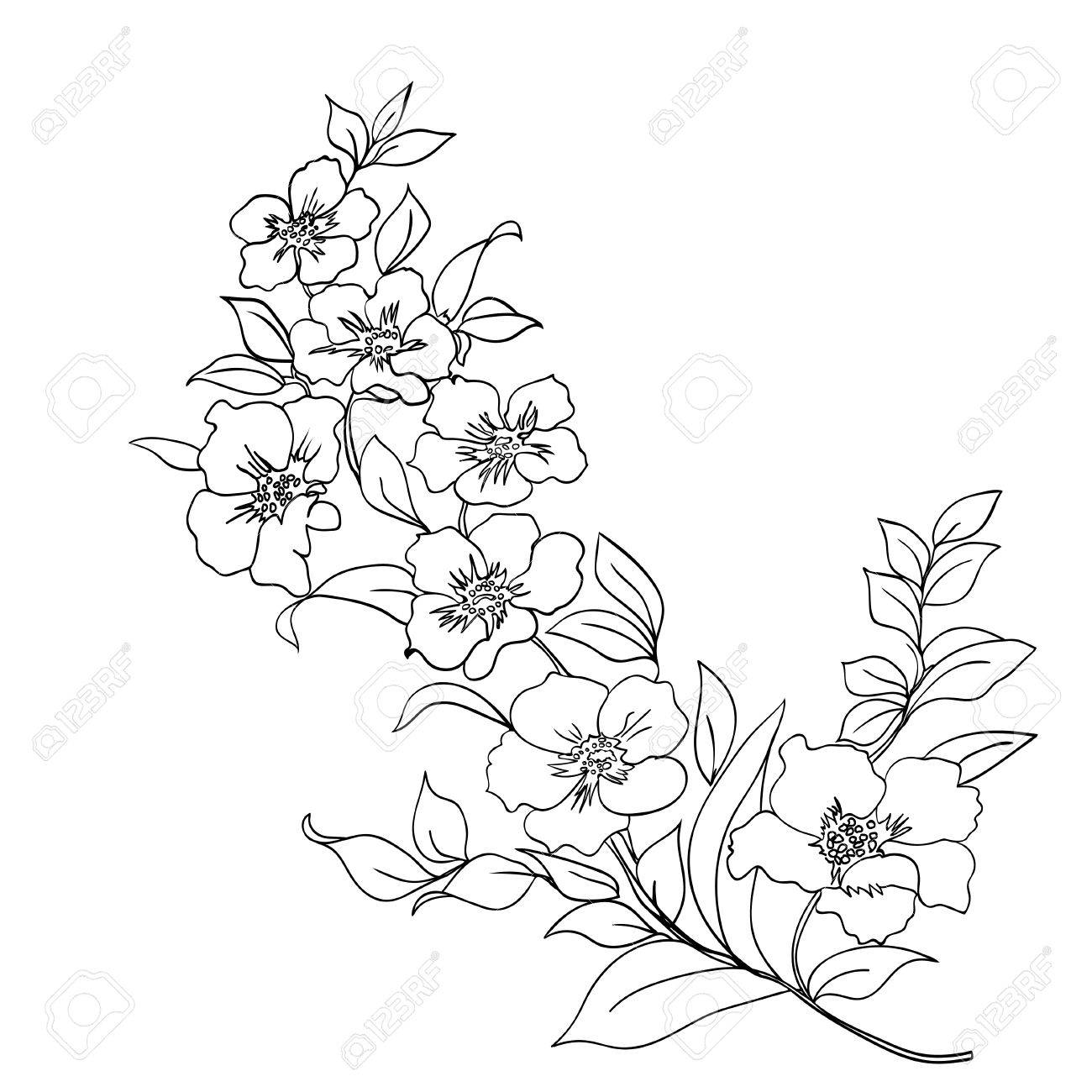 1300x1300 10,952 Cherry Sketch Cliparts, Stock Vector And Royalty Free