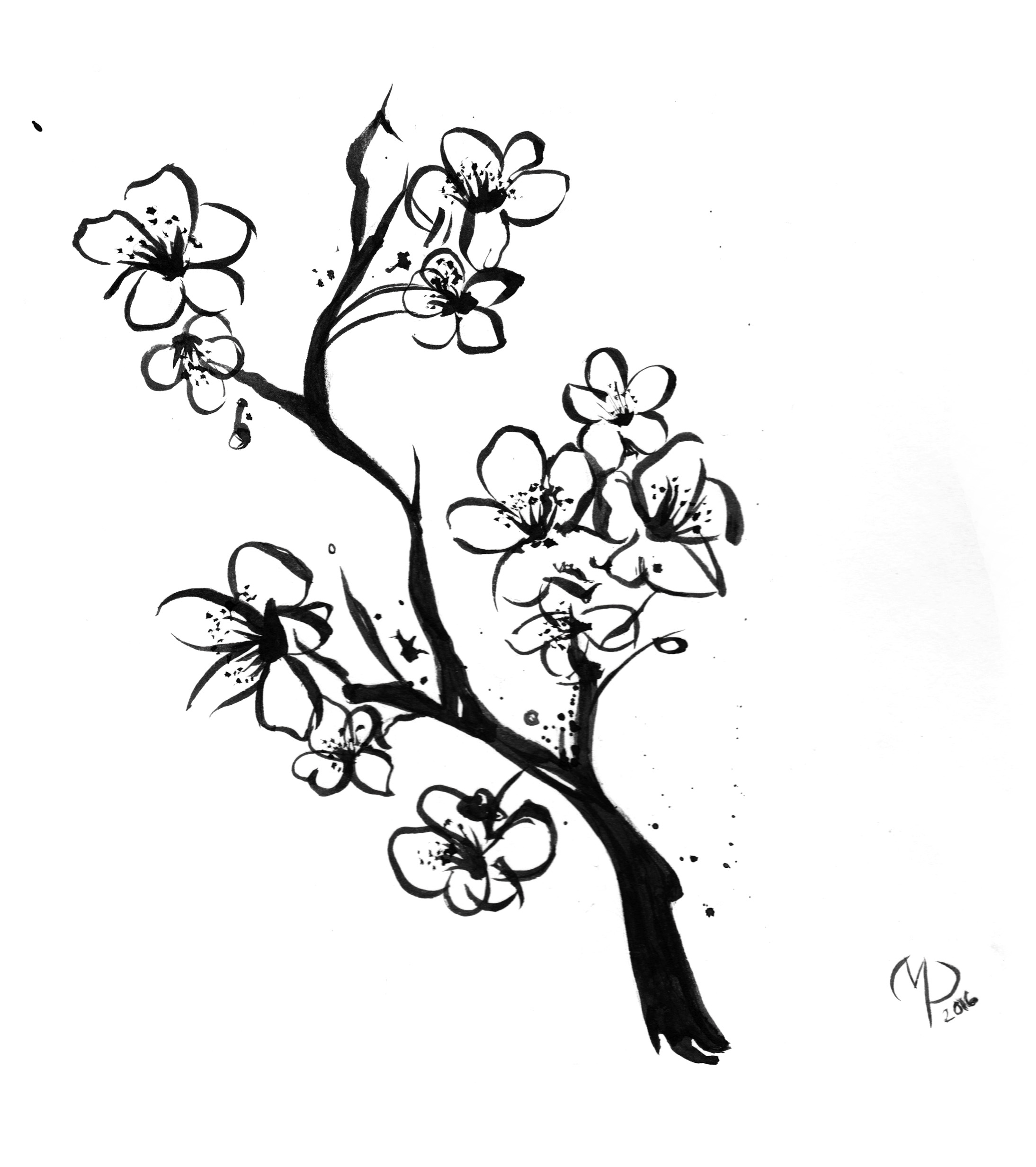 Japanese Cherry Blossom Tree Sketch : Japanese Blossom Tree Drawing ...