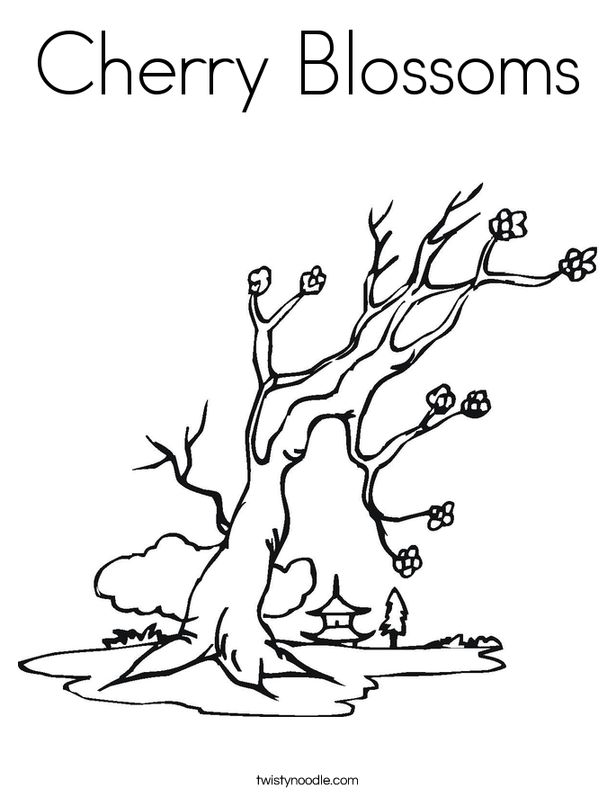 685x886 Cherry Blossoms Coloring Page