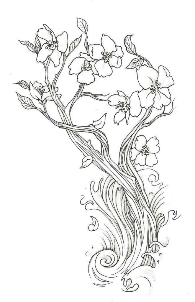 661x1024 Cute Cherry Blossom Drawing Laptopezine. Coloring Pages
