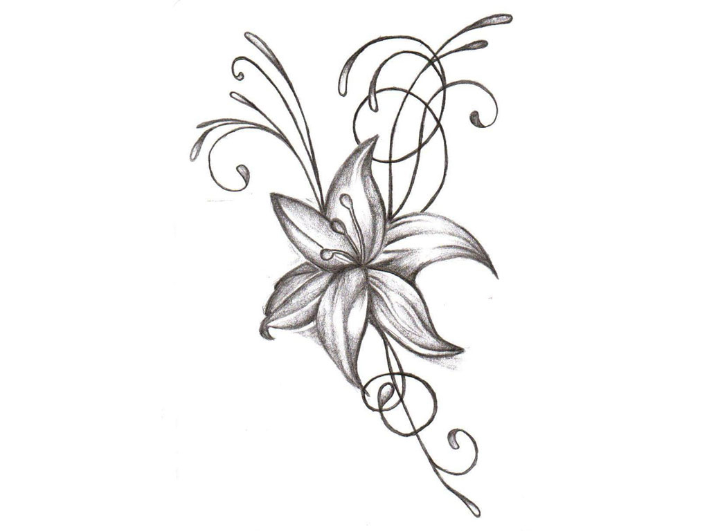 1024x768 Drawing Flower Pictures 1000 Images About Flowers