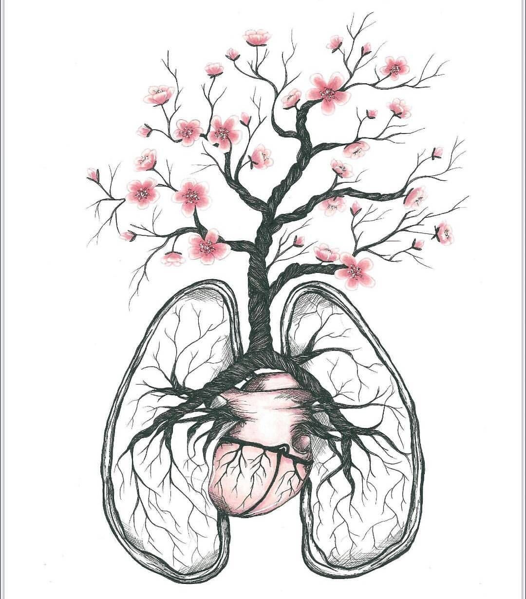 1080x1229 Linneahaakansson On Instagram Blossom Drawing