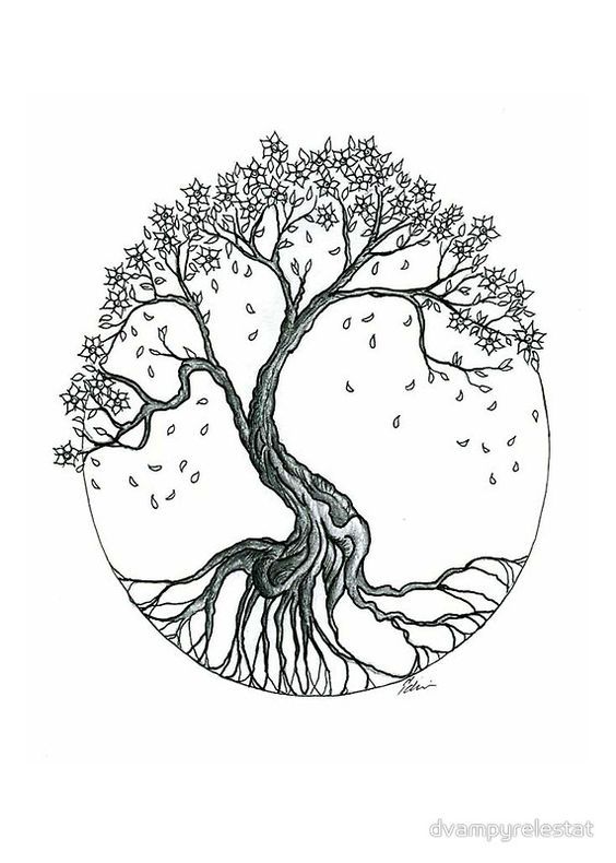 Cherry Blossoms Tree Drawing