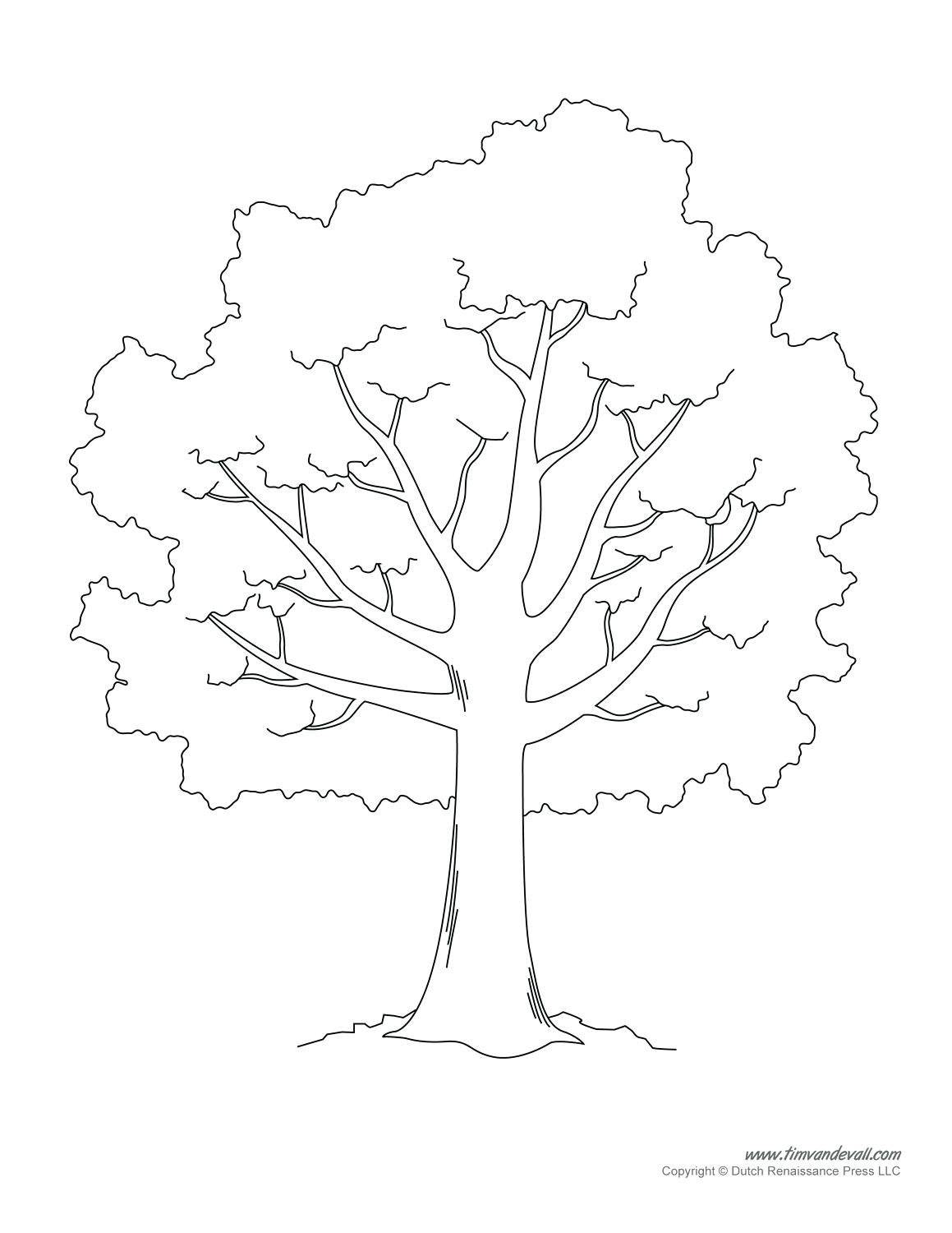 1159x1500 Delighted Tree Branch Template Images
