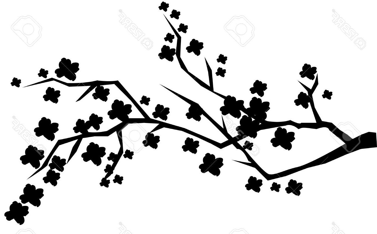 1300x807 Top 10 Abstract Cherry Brunch In Blossom Stock Vector Silhouette