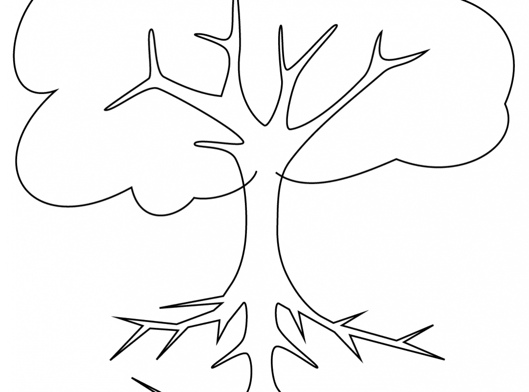 1080x800 White Oak Tree Coloring Page Free Printable Blossoms Flowers