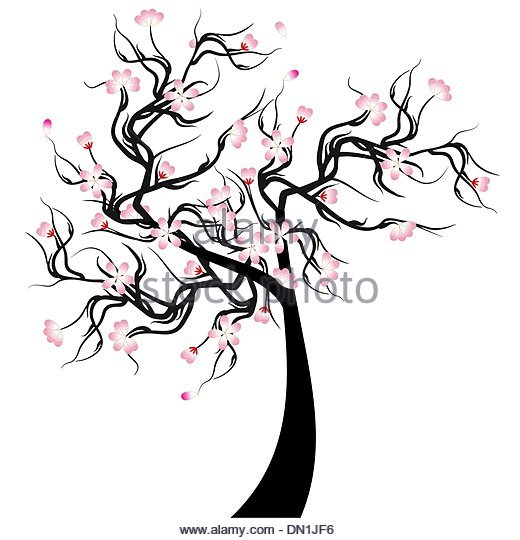 520x540 Cherry Blossom Stock Vector Images