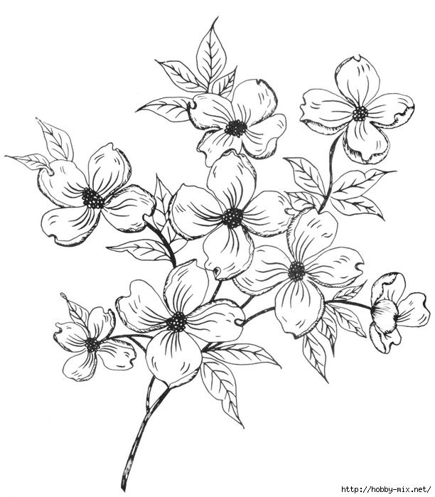 612x699 8 Best Girls Just Want To Have Fun! Images On Cherry