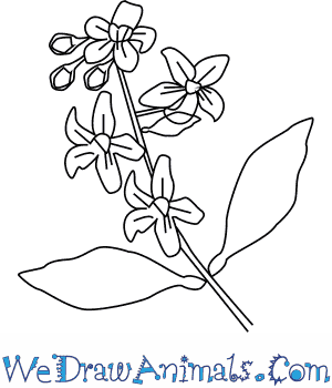 300x350 Drawn Cherry Blossom Orange Blossom Flower