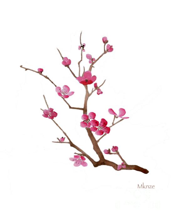 552x700 Cherry Blossom Branch Drawing Image Detail For Japanese Cherry