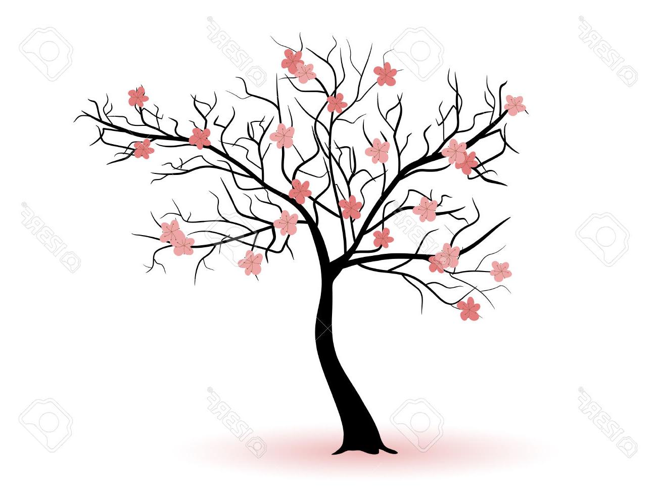 1300x975 Best Free Spring Cherry Tree Silhouette Stock Vector Library