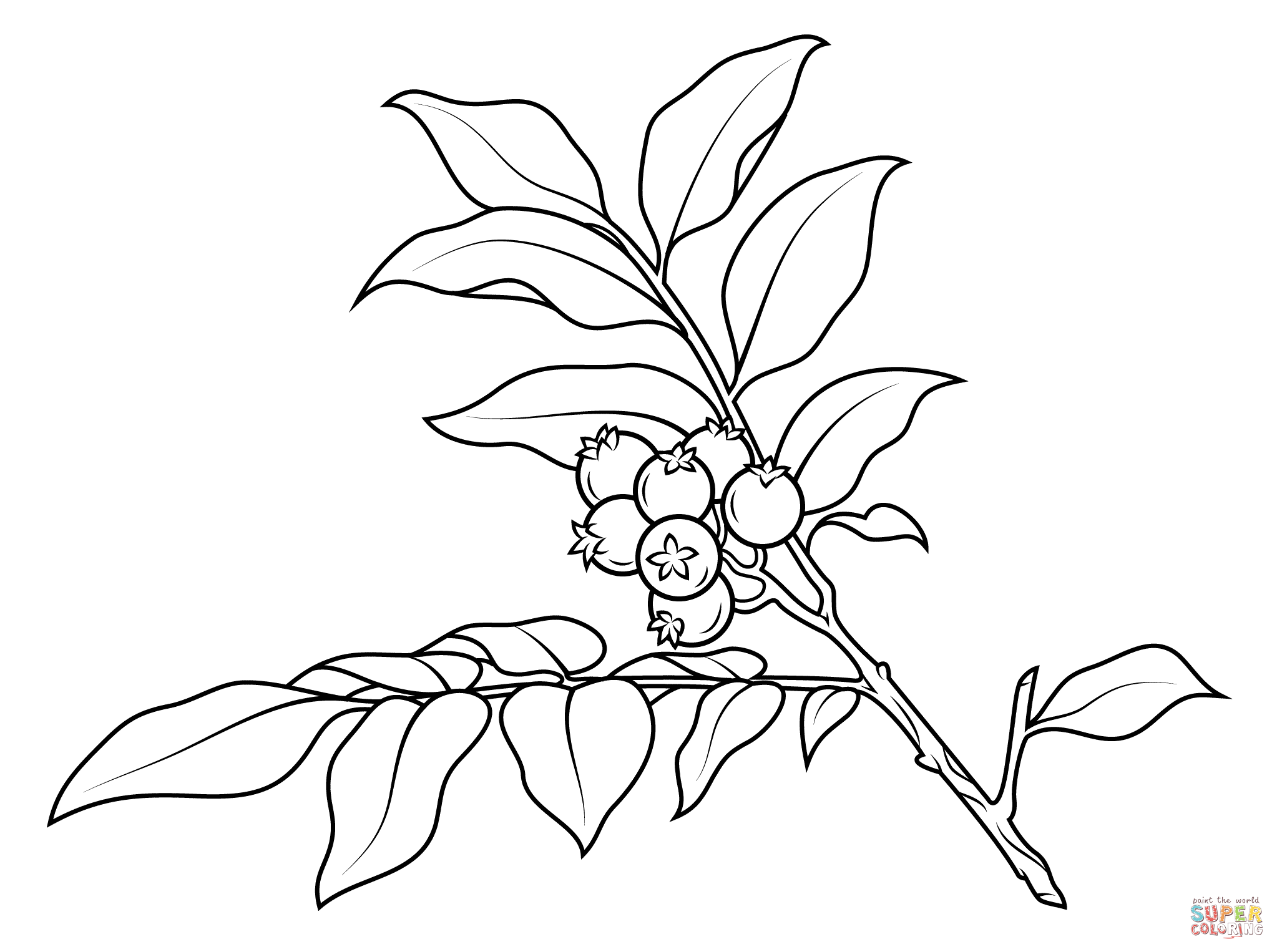 2046x1526 Branches Coloring Pages