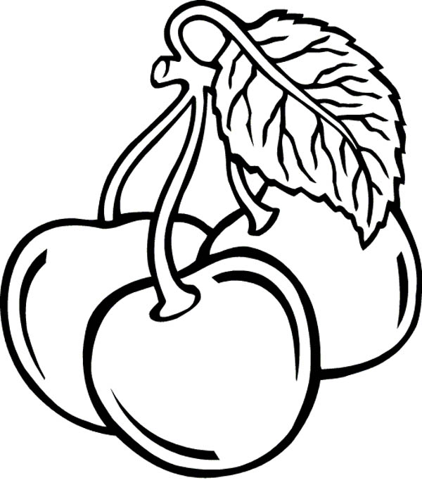 600x689 Cherry Coloring Pages