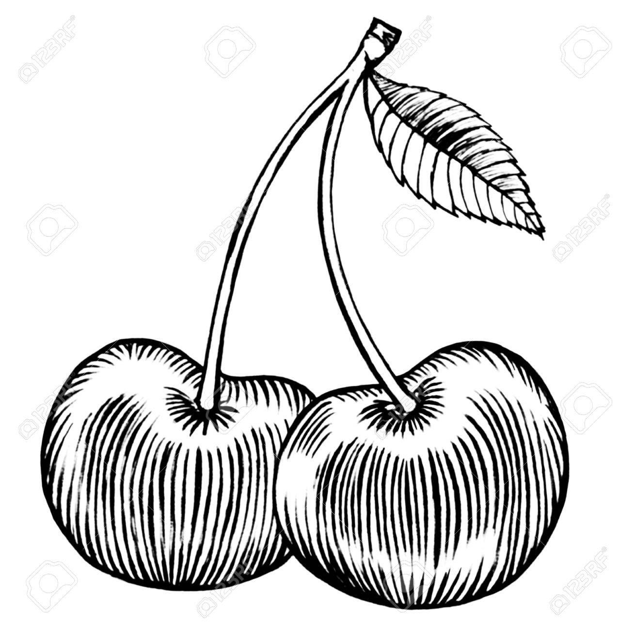 1277x1300 Cherry Merry Pair Fruits, Black Ink Drawing Illustration Stock