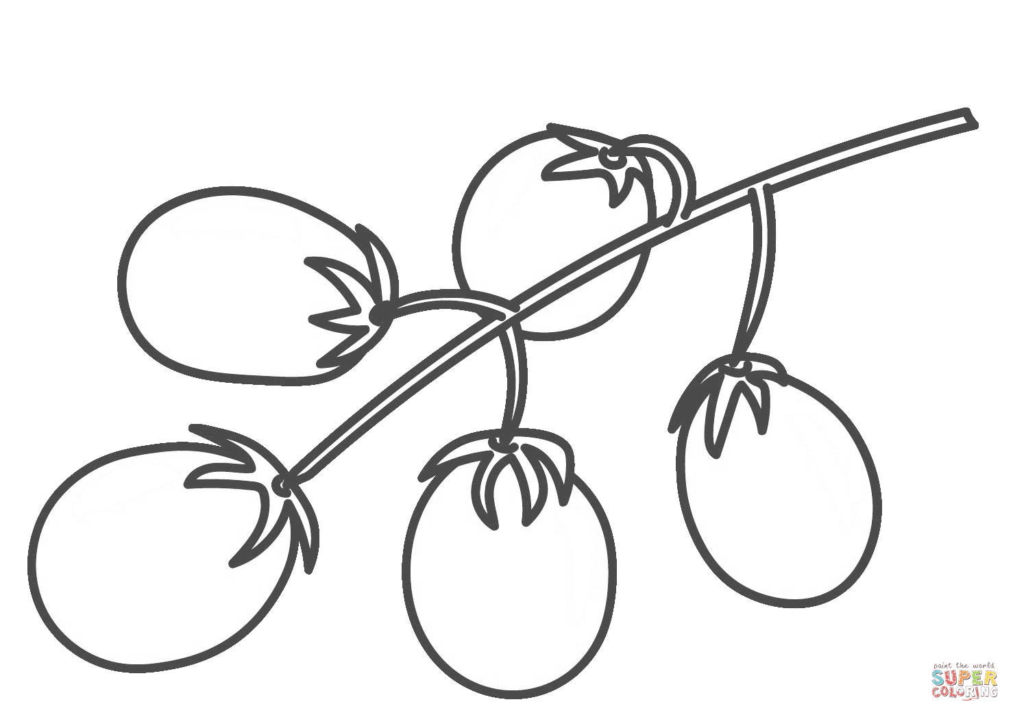 1478x1044 Cherry Tomato Coloring Page Free Printable Coloring Pages