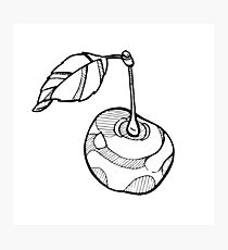 210x230 Black Cherry Drawing Photographic Prints Redbubble