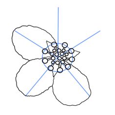 236x236 How To Draw Cherry Blossoms Crafting Cherry