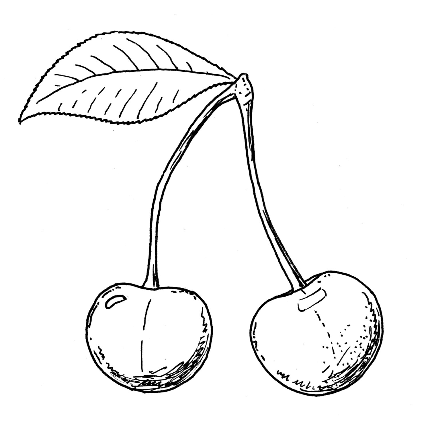 1500x1499 Drawing.ideabook.eu Drawings