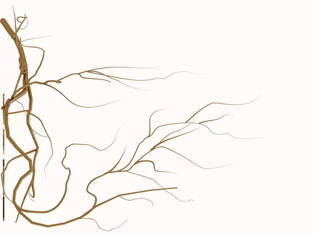 1000x750 Loft Cherry Blossom Renders Createmint