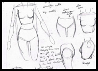 200x145 Figure Drawing How To Draw Human Body, Torso With Lesson