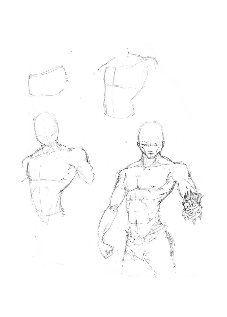 900x1258 Chest Tutorial By Captain Jesse