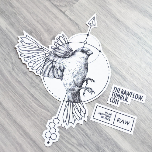 500x500 Sparrow Bird Tattoo Tumblr