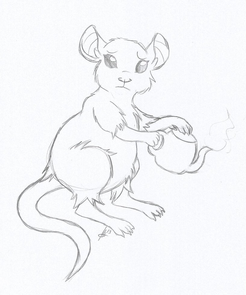 817x978 Practice Sketch Chestnut Rat By Tanookipants