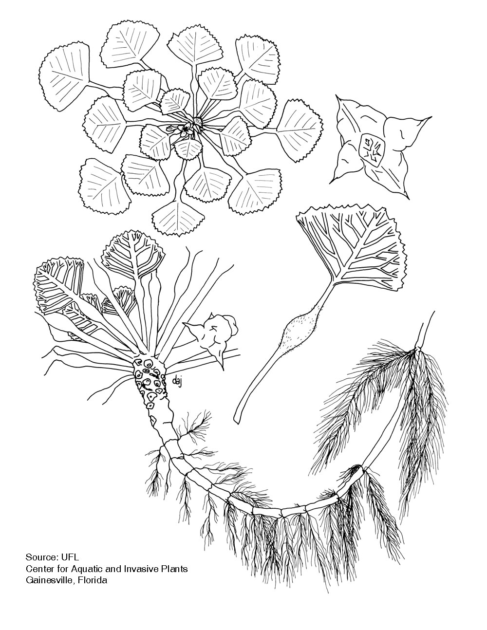 1000x1294 Water Cycle Sketch Auto Electrical Diagram