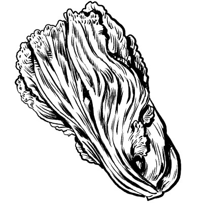 400x400 How To Master The Green City Market Chicago Magazine July 2015