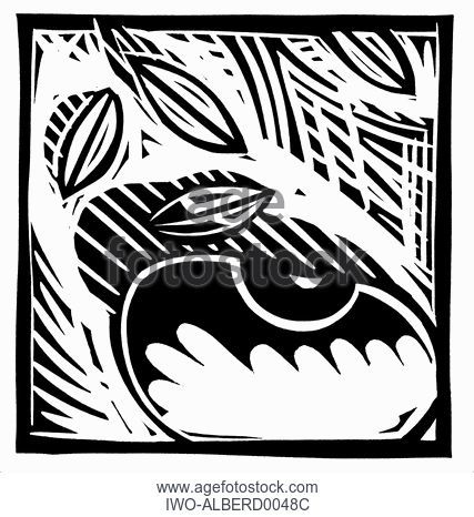 427x466 A Black And White Drawing Of A Bunch Of Grapes, Stock Photo