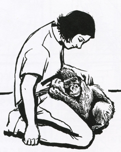 400x500 Cara Bean Radiator Comics