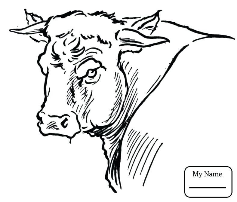 788x672 Coloring Pages Of Bulls View Larger Coloring Pictures Of Pitbulls
