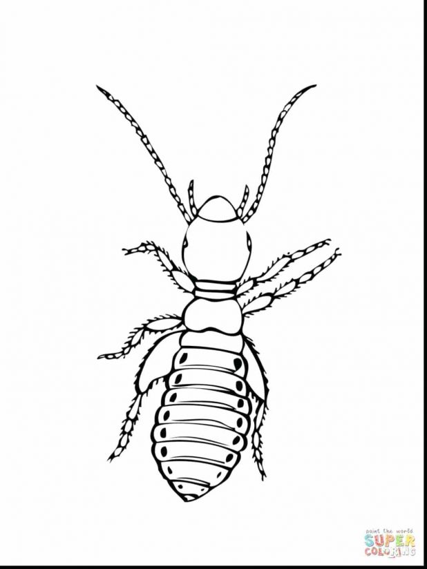 618x824 Bugs Coloring Page Chicago Bulls Logo Pages Free Bulldog Bull