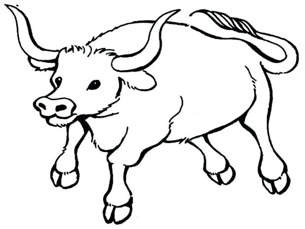 618x464 Pitbull Coloring Pages Best Coloring Pages Adresebitkiselcom. Bull