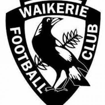 370x370 Chicago Bulls Teks Fitness Supplies